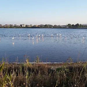 https://flamingo-view.in-sardinia.net
